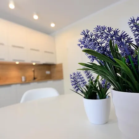 Appartamento Victus Apartamenty, Cztery Oceany